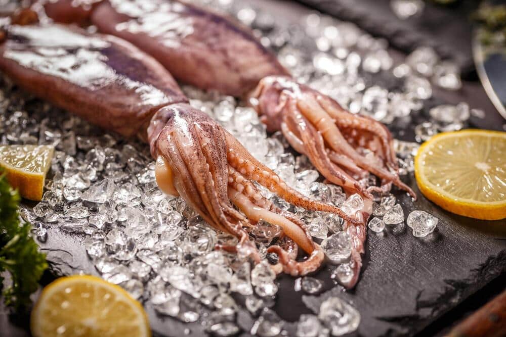 Fresh Squid | 183 Gold Fish Market