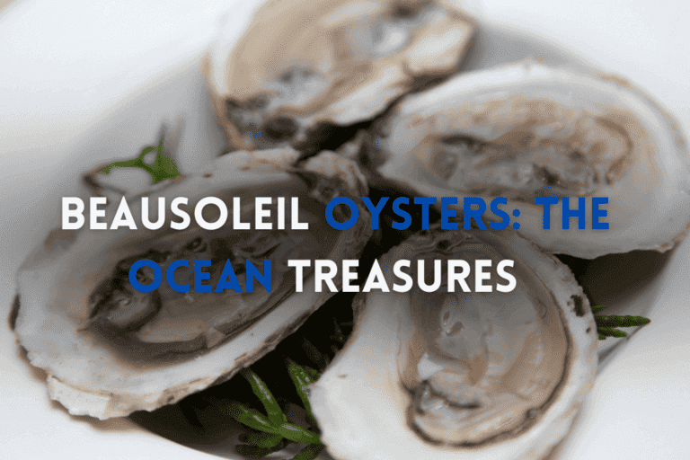 Ocean Treasures on Your Plate: Beausoleil Oysters Unveiled