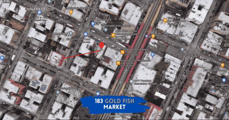 183 Gold Fish Market - 12 West 183rd Street, The Bronx, NY