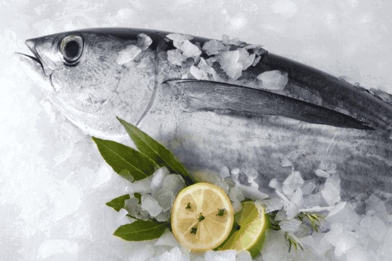 Where to buy mackerel - Storage and Leftovers