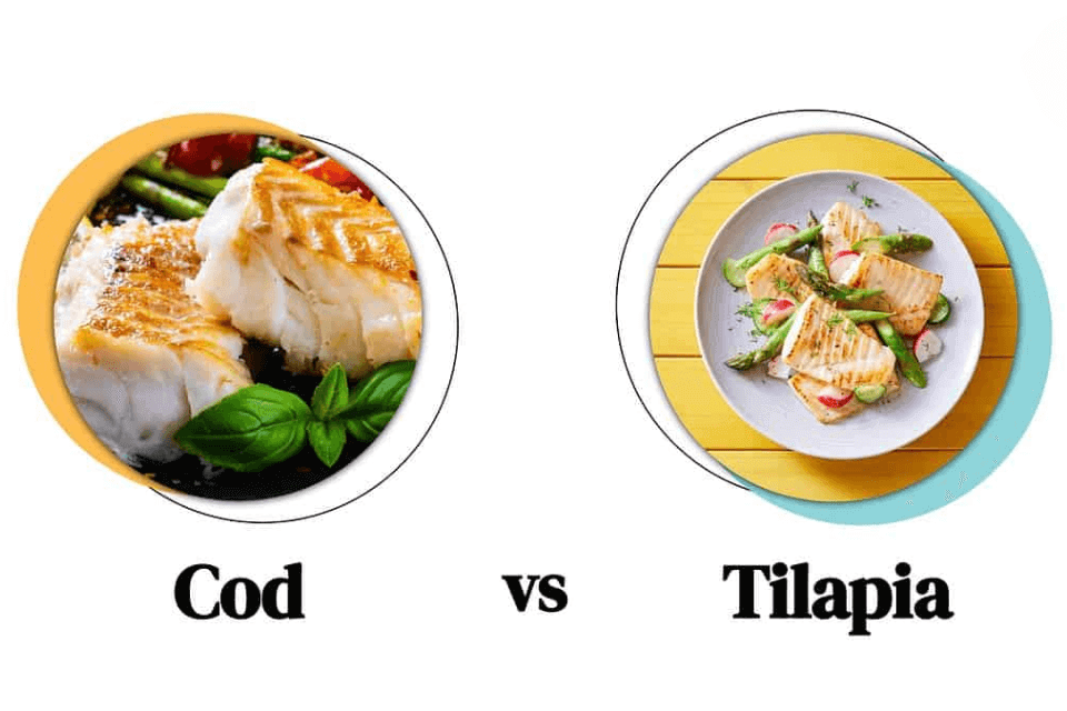tilapia versus cod