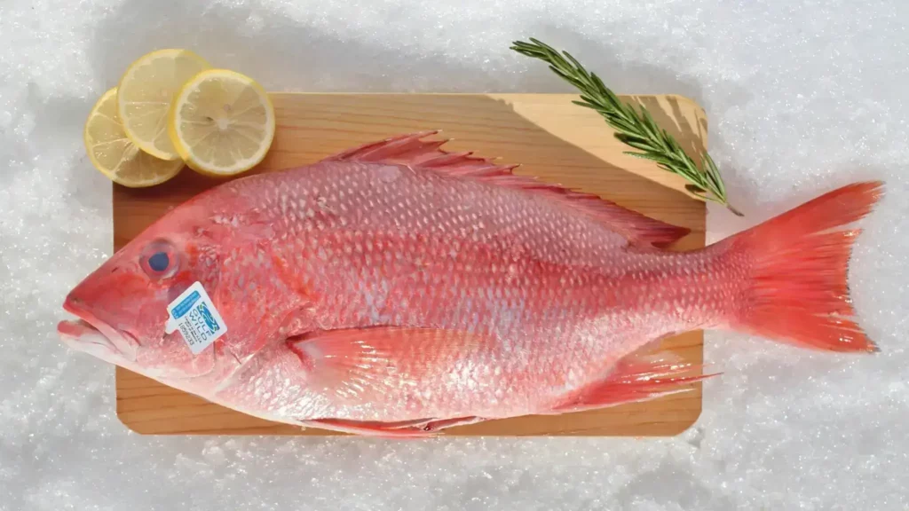 Pricing Consideration of Red Snapper for sale